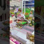 パイの実ゲット！ #ゲームセンター #クレーンゲーム #ゲーセン #お菓子好き #ufoキャッチャー #ガチャガチャ #ショート動画 #攻略