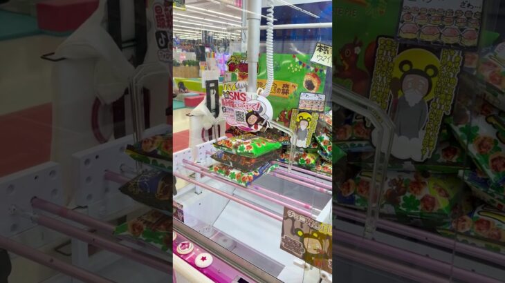 パイの実ゲット！ #ゲームセンター #クレーンゲーム #ゲーセン #お菓子好き #ufoキャッチャー #ガチャガチャ #ショート動画 #攻略