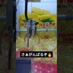 パインアメ取るぞ🍍 #クレーンゲーム #クレーンゲーム景品 #ゲームセンター #クレーンゲーム攻略 #ufoキャッチャー #ゲーセン #ミニクレーンゲーム #ショート #パインアメ