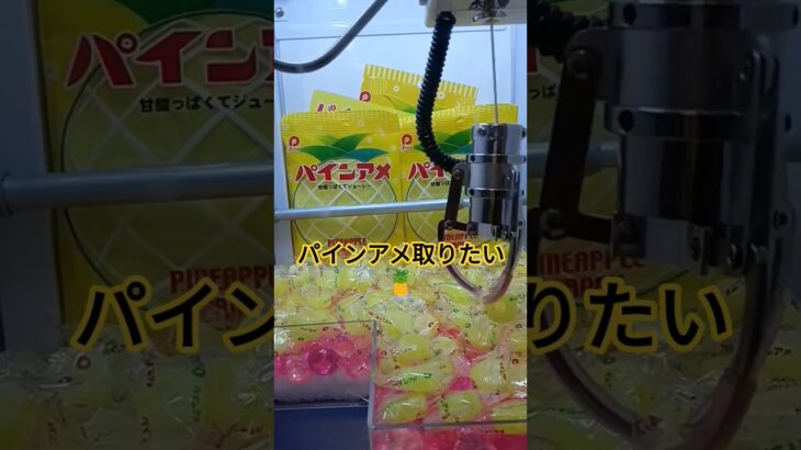 パインアメおいしいよね🍍 #クレーンゲーム #クレーンゲーム景品 #ゲームセンター #クレーンゲーム攻略 #ufoキャッチャー #ゲーセン #ミニクレーンゲーム #ショート
