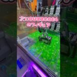 ゲーセンでいろんな景品乱獲してみた！ #ゲームセンター #プライズ獲得 #確率機 #クレーンゲーム #ufoキャッチャー