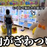 【クレーンゲーム】とある店舗で人気景品を狙ったら店員の裏をかく攻略法見つけました…【ufoキャッチャー】