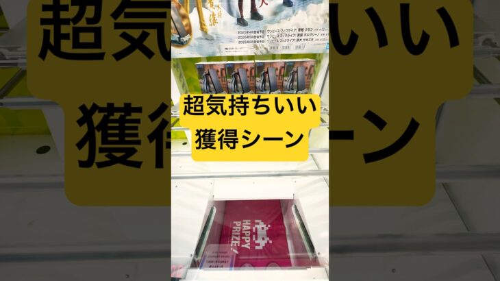 「クレーンゲーム」超気持ちいい獲得シーン‼️#クレーンゲーム#クレーンゲーム景品 #クレーンゲーム動画 #ゲームセンター#ゲーセン#ufoキャッチャー #アニメ#anime#onepiece