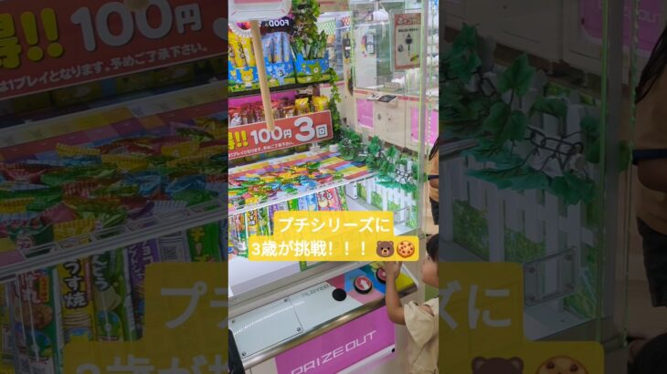 クレーンゲームに挑戦！ #ゲームセンター #クレーンゲーム #ufoキャッチャー #クッキー #gamecentre #game #3歳 #challenge #gameplay #get #景品