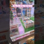 クオリティ【高！】【デカ！？】ラクスフィギュア！ #クレーンゲーム #ufoキャッチャー#ゲーセン #ゲームセンター #ガンダムseed  #機動戦士ガンダム #景品