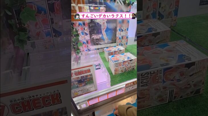 クオリティ【高！】【デカ！？】ラクスフィギュア！ #クレーンゲーム #ufoキャッチャー#ゲーセン #ゲームセンター #ガンダムseed  #機動戦士ガンダム #景品
