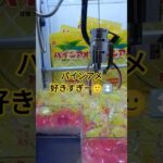美味しいんだよね😃パインアメ知ってる？ #クレーンゲーム景品 #クレーンゲーム攻略 #ミニクレーンゲーム #ゲームセンター #ufoキャッチャー #shorts #パインアメ