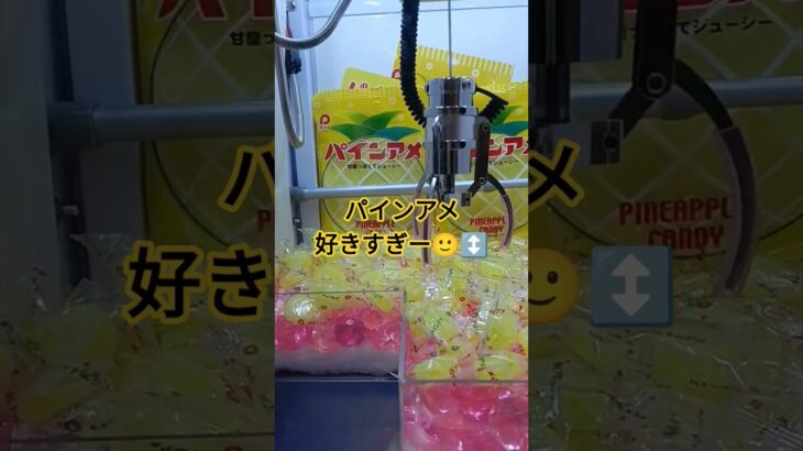 美味しいんだよね😃パインアメ知ってる？ #クレーンゲーム景品 #クレーンゲーム攻略 #ミニクレーンゲーム #ゲームセンター #ufoキャッチャー #shorts #パインアメ