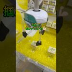 【重すぎ景品はどうしたら獲れるかな🥺】#クレーンゲーム #ゲームセンター #ufoキャッチャー #ゲーセン #shorts