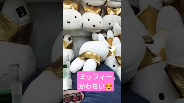 耳と耳の間に引っ掛けたら取れる🤔？ #クレーンゲーム景品 #クレーンゲーム #ゲームセンター #クレーンゲーム攻略 #ufoキャッチャー #ミニクレーンゲーム #ミッフィー #shorts
