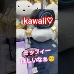 重いからなかなか😂💦 #クレーンゲーム景品 #クレーンゲーム攻略 #クレーンゲーム #ufoキャッチャー #ミッフィー #ぬいぐるみ #shorts