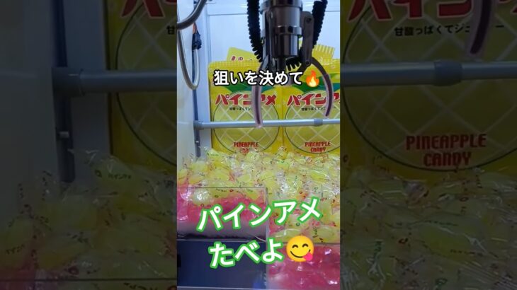 狙うところは大事よ🤣 #クレーンゲーム景品 #クレーンゲーム攻略 #ufoキャッチャー #ゲームセンター #ミニクレーンゲーム #パインアメ #shorts