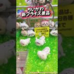 #クレーンゲーム #プライズ獲得 #ゲームセンター #アミューズメント限定 #ufoキャッチャー #ゲーセン#ちいかわ #sunsun #新景品 #プライズ