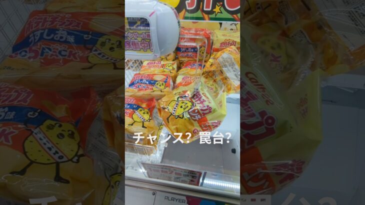 これはチャンス？罠？それとも……#ufoキャッチャー #ufoキャッチャー攻略 #クレーンゲーム #ゲームセンター #ゲーム #こっちのけんと #shorts