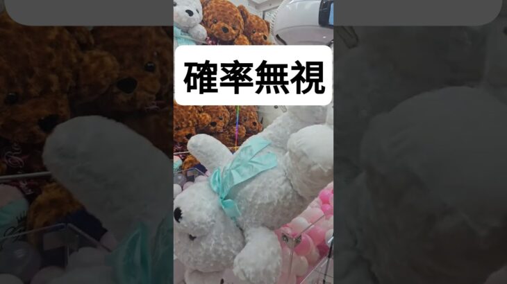 確率無視出来る！？！？　巨大クマのぬいぐるみの取り方　　　 #クレーンゲーム #ufoキャッチャー #ゲームセンター  #인형뽑기 #오락실 #ぬいぐるみ #ufocatcher #ゲーセン#攻略
