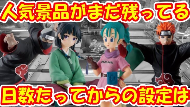 【クレーンゲーム】【倉庫系】#万代山梨 で人気景品が残っている!?日数たった設定は!? #暁 #ペイン #角都  #サソリ  #薬屋のひとりごと #猫猫 #ブルマ #ドラゴンボール