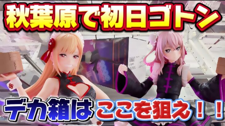 【クレーンゲーム】 秋葉原は取りずらいのか検証した結果！？  着せ恋 喜多川海夢 【ゲームパニック秋葉原】