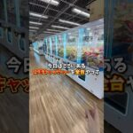 ゲーセンの台湾キャッチャーを全台やって景品何個取れるか挑戦してみました。(クレーンゲーム)