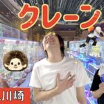 モンチッチと大決闘！！サル（去る）者追いまくれ🐒