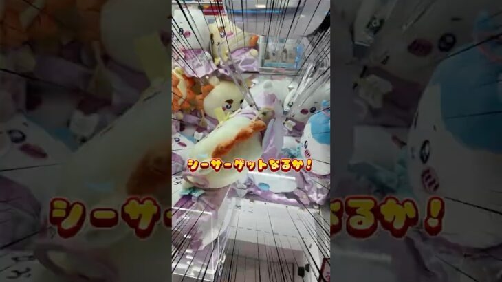【ちょい苦戦】ちいかわシーサーぬいぐるみ、三味線に引っかけて逆転ゲット🎯✨