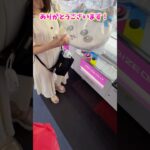 クレーンゲームで美女と出会った日のこと