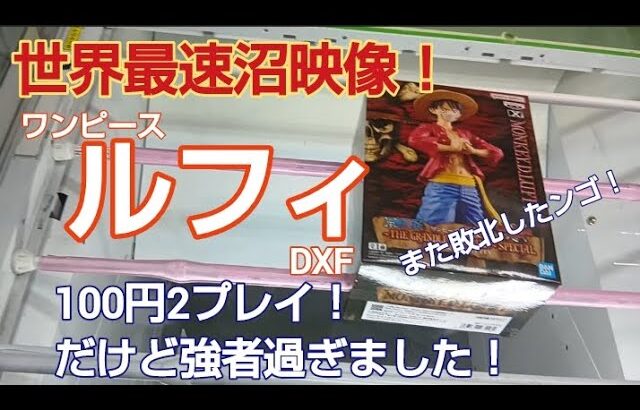 クレーンゲーム　ベネクス川越　ワンピース　ルフィ　完全クレゲ宣言！　チャンネル登録募集中！　世界最速　新登場　初日朝イチ　情報　攻略　秋葉原