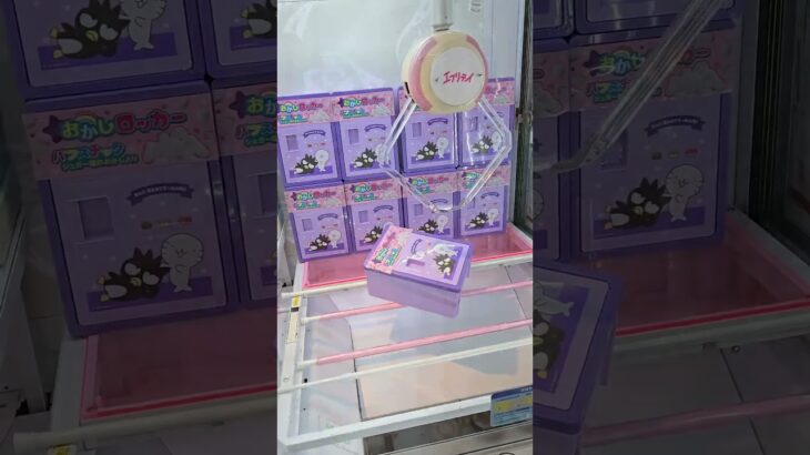 エブリデイとれトレ屋桶川店さんでクレーンゲーム達人【五十嵐さん】に教わり景品ゲット！