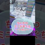 【ちいかわ】ミニがまぐち〜リボン〜を取ってきたよ♡