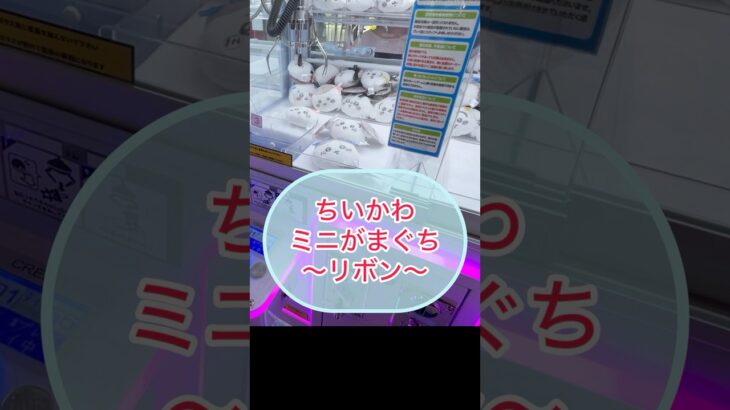 【ちいかわ】ミニがまぐち〜リボン〜を取ってきたよ♡