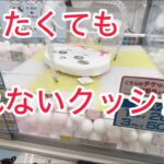【ちいかわ】低反発クッションを取ってきたよ♡