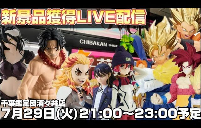 激アツの祭り🥁新景品プライズフィギュアを爆速で取っていく‼️【クレーンゲームのコツ】