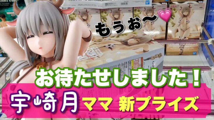 【クレーンゲーム】長箱の獲り方！宇崎月ママを獲る！！規格外のママを獲る！！