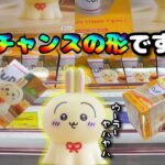 【ちいかわを守れ！】まずは獲り方を覚えてください！転売ヤーから守るために！！【ちいかわ】【ウラヤハボウズ】【クレーンゲーム】