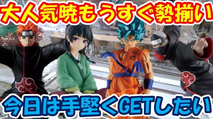 【クレーンゲーム】【倉庫系】#万代山梨 で大人気 #暁 #ペイン #角都 狙って!!手堅く獲得したいが… #猫猫  #薬屋のひとりごと #ナルト #悟空ブルー #ドラゴンボール