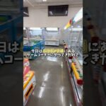 【ゲーセン】ボーリング場にあるクレーンゲームは本当に取れるのか検証してみました。