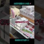 クレーンゲームは格安の殿堂🦸🏻‍♀️お菓子乱獲集📹️
