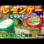 【クレーンゲーム】巨大じゃがりこに挑戦する主婦二人組・全種類欲しいよ