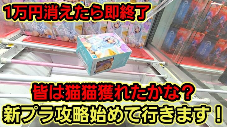 【趣味】薬屋の猫猫無くなるの早くない？ｗ【クレーンゲーム】