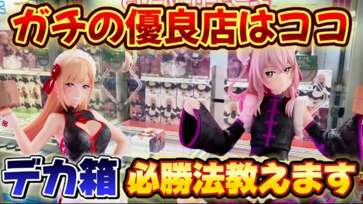 【クレーンゲーム】 新作プライズフィギュアを初日攻略したら驚きの結果に！！ その着せ替え人気は恋をする 【キャロム坂戸】