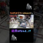 #とれとる米原店 さんでちびゴリの立てハメチャレンジ🦍