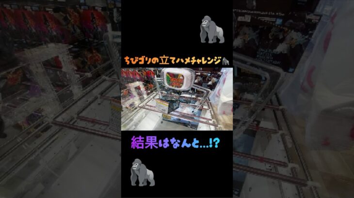 #とれとる米原店 さんでちびゴリの立てハメチャレンジ🦍