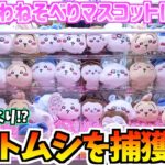 【ちいかわクレゲ】完売しまくり！？ちいカブちゃんを捕獲せよ！【ちいかわグッズ】【ちいかわプライズ】【ちいかわクレーンゲーム】【おはるのちい活vlog】【UFOキャッチャー】【プライズぬいぐるみ】