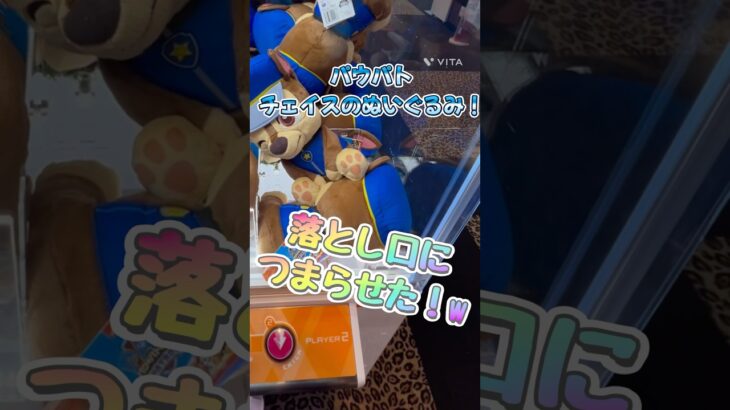 パウパトロール、チェイスのぬいぐるみ！セール台に入っていたのでプレイしていたら落とし口がつまった！w #クレーンゲーム #パウパトロール #clawmachines