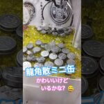 一発で取れてビックリ‼️でもいるかなw #クレーンゲーム景品 #クレーンゲーム攻略 #ゲームセンター #ufoキャッチャー #ミニクレーンゲーム #shorts #ミニ缶 #龍角散
