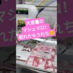 さっちゃんはミスりましたw #クレーンゲーム #クレーンゲーム景品 #ゲームセンター #クレーンゲーム攻略 #ufoキャッチャー #ゲーセン #マシュマロ #shorts