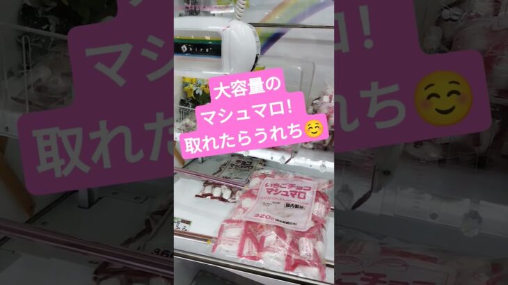 さっちゃんはミスりましたw #クレーンゲーム #クレーンゲーム景品 #ゲームセンター #クレーンゲーム攻略 #ufoキャッチャー #ゲーセン #マシュマロ #shorts