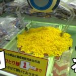 黄色の大量鎖の中に大当たりがあるらしいww【クレーンゲーム／UFOキャッチャー】