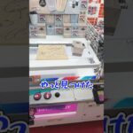 クレーンゲームで取った景品を売って叙々苑に行く話www #shorts  #クレーンゲーム #ufoキャッチャー#ゲーセン #ゲームセンター  #arcade #clawmachine