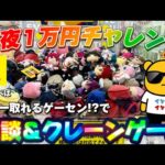 【1万円チャレンジ】ぬいぐるみ初心者オススメ台の実態は…？　LIVE IN METOKYO SHINJUKU