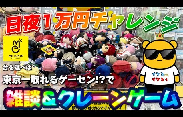 【1万円チャレンジ】ぬいぐるみ初心者オススメ台の実態は…？　LIVE IN METOKYO SHINJUKU